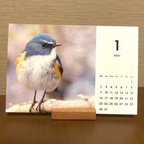 作品【卓上】2023かわいい野鳥カレンダー