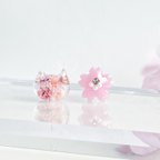 作品猫と桜の一粒ピアス/イヤリング