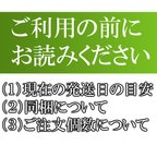 作品ご利用の前にお読みください