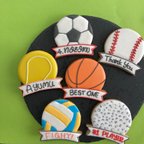 作品⚾️⚽️Only One ボールアイシングクッキー🏐🎾(オリジナル で作れます！受注生産 )