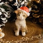 作品子猫サンタ（Christmas cat santa）