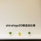 作品【shirahige20様専用】追加仕様