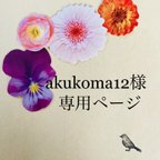 作品akukoma12様専用ページ