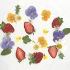 作品押し花＊いちご🍓とお花達　Ａセット