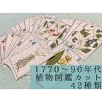 作品1770-90年代植物図鑑ラベル①42枚　コラージュ素材、ラッピング素材として❁