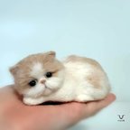 作品羊毛フェルト　猫　エキゾチックショートヘア　ネコ　ハンドメイド