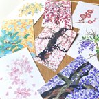 作品梅・ミモザ・桜・藤　春の木ポストカードセット