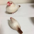 作品オーダー品 文鳥