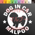 作品犬（マルプー）カッティング ステッカー　防水　車用