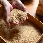 作品令和３年産 特別栽培玄米５kg　たらふく特別栽培米