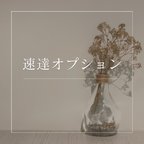 作品速達オプション＊(ご希望の商品がお急ぎの場合に一緒にご購入下さい)