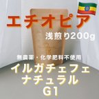 作品《当店人気Ｎｏ．1》エチオピア イルガチェフェ ナチュラル 200g 自家焙煎珈琲豆