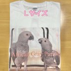 作品幼鳥ヨウムTシャツ（白）（Lサイズ）