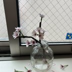 作品桜