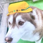 作品大型犬用やわらかヘルメット風帽子【名入れできる！】ワンちゃんのコスプレ服