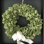 作品wreath1 グリーンアナベル　