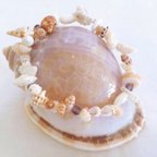 作品Natural Hawaiian Sea Shells Bracelet 