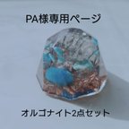 作品PA様専用ページです。