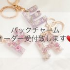 作品イニシャル　チャーム　キーホルダー　オーダー　レジン　レジンアクセサリー　レジンアクセ　レジンチャーム　バッグチャーム　ドライフラワーアクセサリー　ドライフラワー