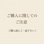 作品ご購入前にご一読下さいませ♪♪