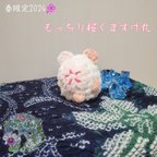 作品春限定2024🌸〈もふもふ〉 桜くま🌸