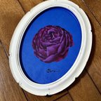 作品指絵【バラ・purple rose】額:楕円(白)