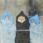 作品「子猫３兄弟」絵画