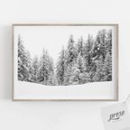 作品雪に覆われた森の木々 色と音が無くなったミニマルな風景 ポスター 2L A5 A4 A3 B3 A2 B2 A1 サイズ 大きい 風景 冬 12月 雪景色 銀世界 森林 写真 おしゃれ インテリア