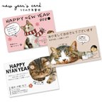 作品愛猫年賀状（12月15日までにご注文ください！）