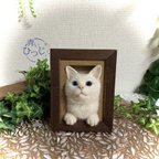 作品【額縁猫】