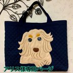 作品アリス様オーダー（愛犬ちゃんレッスンバッグ）