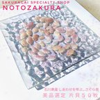 作品【石川県産】幸せを呼ぶさくら貝...　美品選定 片貝５０枚