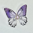 作品蝶の宴・儚き藍紫