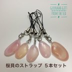 作品桜貝のストラップ  5本セット