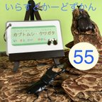 作品【いらすとかーどずかん】カブクワ 55種類　リングつき