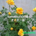 作品kamechura39様オーダー品