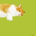 作品ひるねこ