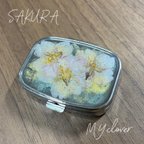 作品本物の 桜　小物ケース　／　ピルケース　アクセサリーケース　長方形