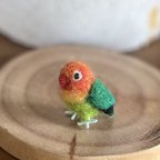 作品ミニチュアボタンインコ　tiny lovebird