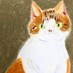 作品【白茶トラ猫】イラスト