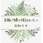 作品首輪ご購入検討の方へ必ず！ご覧下さい