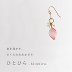 作品【春季限定】さくらのみみかざり ひとひら【片耳販売】