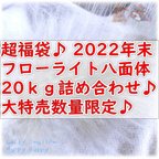 作品🌟 超福袋20ｋｇ♪ 100ｇあたり1000円♪ 2022年末 フローライト八面体 20ｋｇ詰め合わせ♪ 大特売数量限定 ハッピーバッグ ♪ ゆうパック送料着払い♪ ※ 送料無料対象外