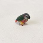 作品オーダー品ミニウロコインコとミニコザクラインコ　order items