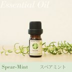 作品スペアミント精油3ml~　アロマオイル/エッセンシャルオイル/ケモタイプ精油/Spear Mint