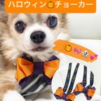 作品ハロウィンカラー　チョーカー　リボンチョーカー　首輪