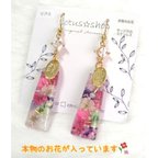 作品ピアス　イヤリング　レジン　本物のお花　No.035