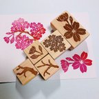 作品 桜の花セット　消しゴムはんこ