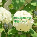 作品ttk531505さま専用ページ✨