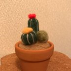 作品寄せ植え羊毛サボテン